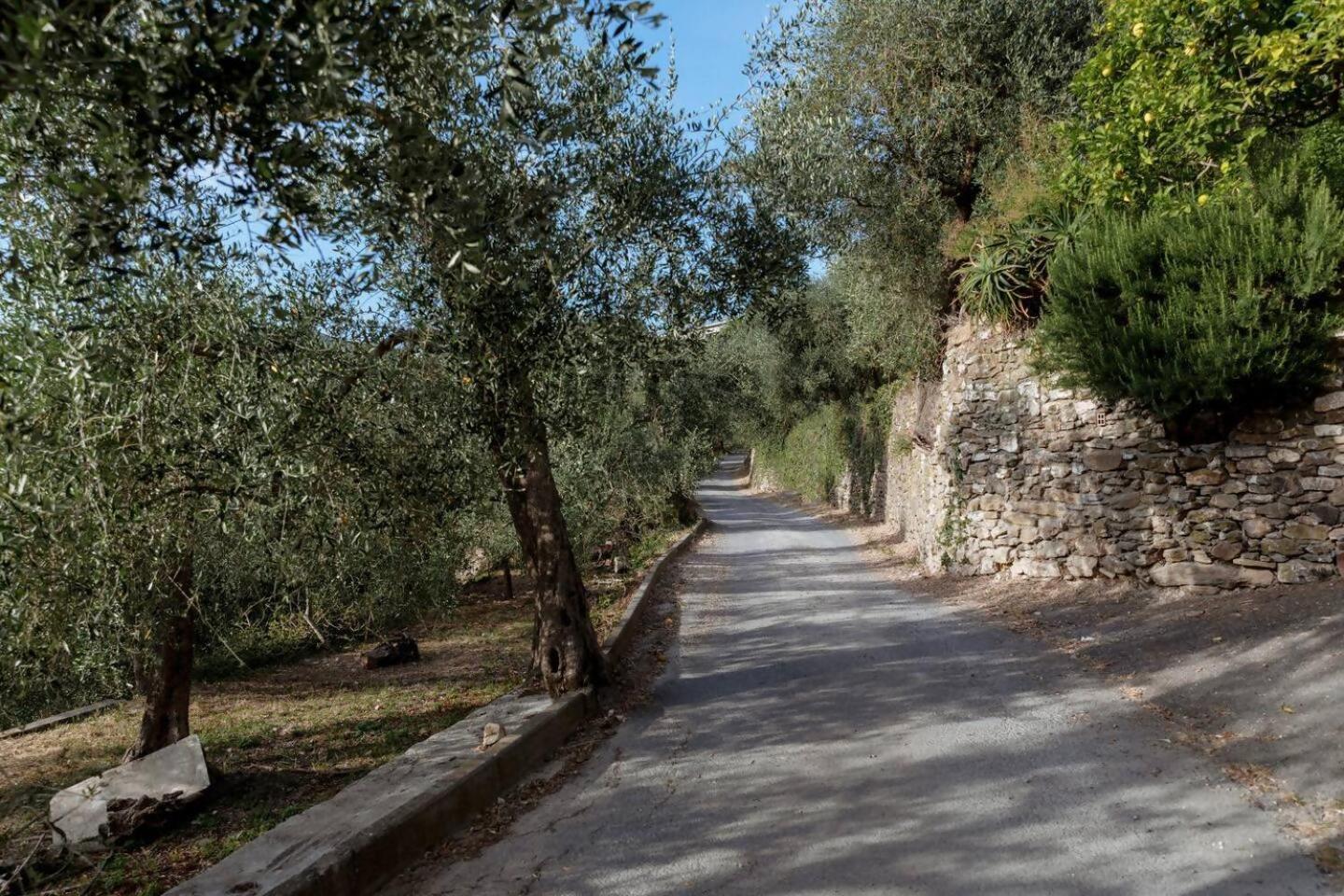 Appartamento Alba Dachi Farm Marina dʼMarina dʼAndora المظهر الخارجي الصورة
