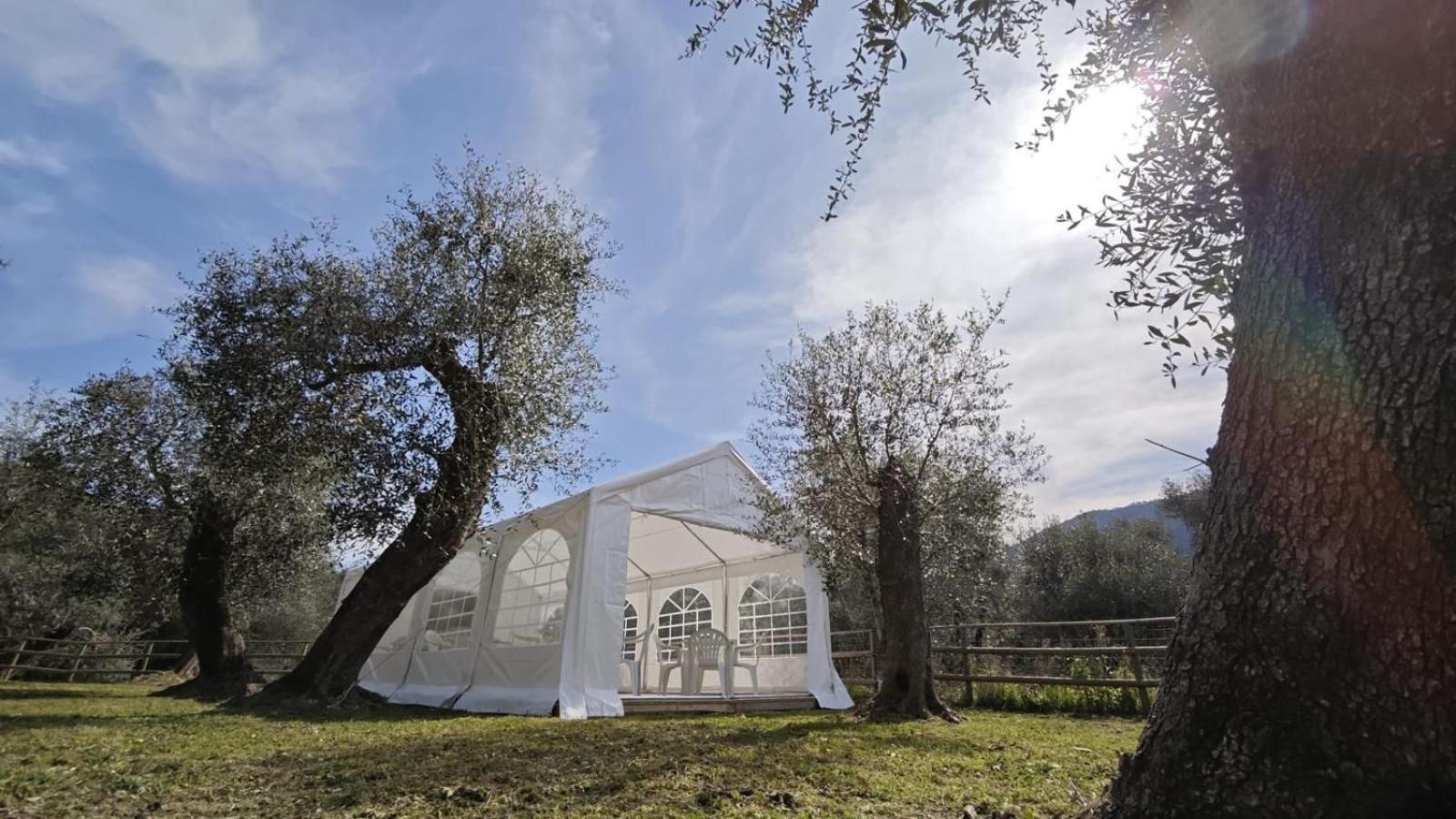 Appartamento Alba Dachi Farm Marina dʼMarina dʼAndora المظهر الخارجي الصورة